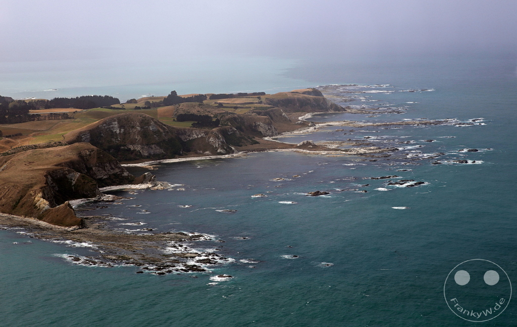 New Zealand South Island - Whale Watching - Kaikoura