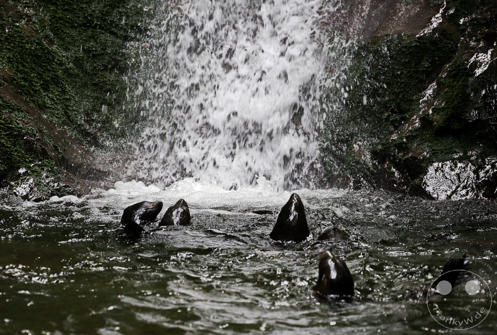 New Zealand South Island - Ohau Stream Walkway and Waterfall