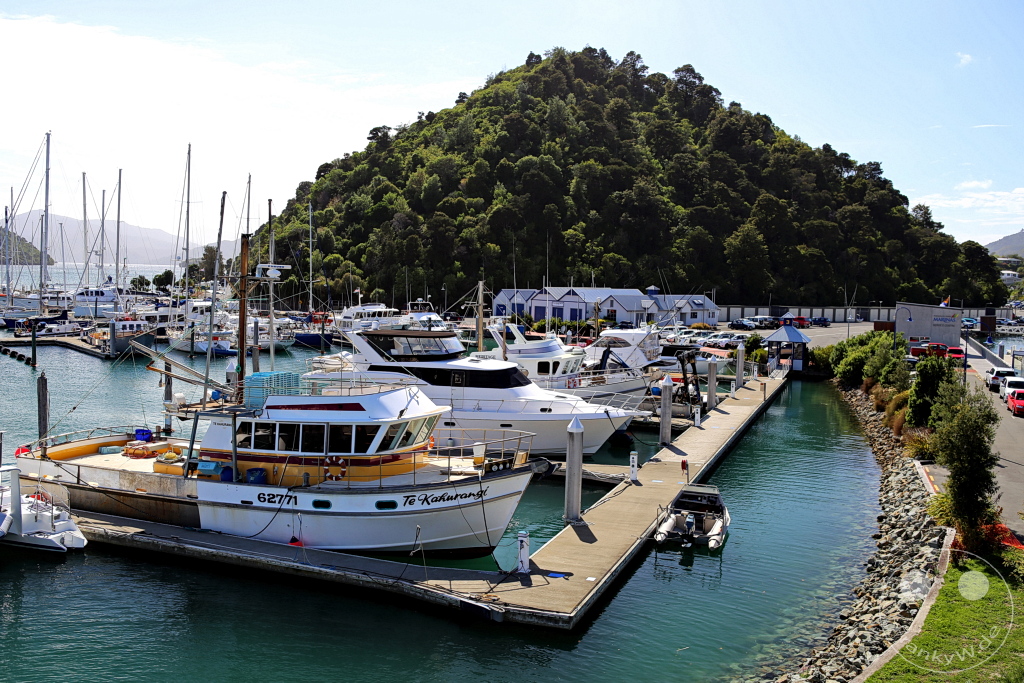 New Zealand South Island - Picton