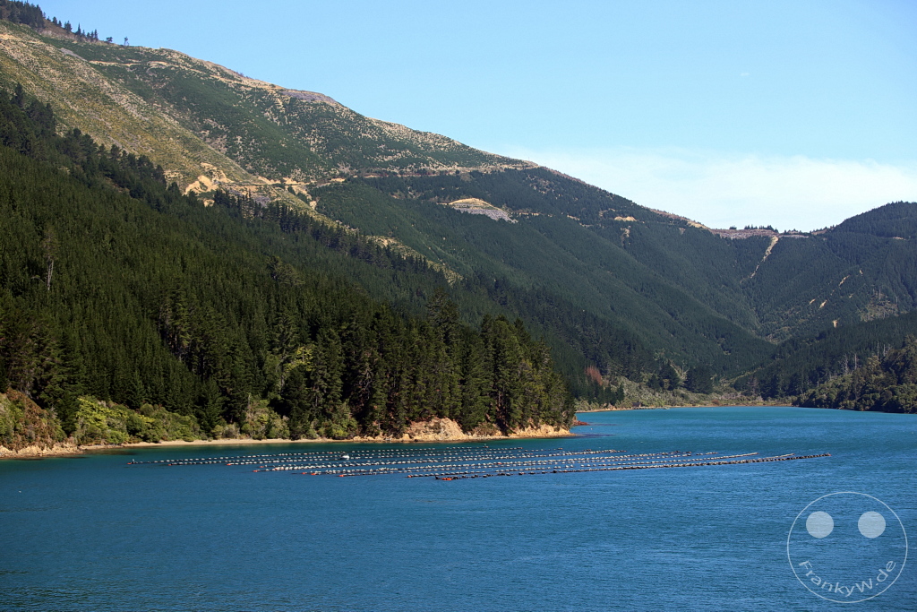 New Zealand South Island - Interislander Cook Strait Ferry - Waikawa Bai - Queen Charlotte Sound