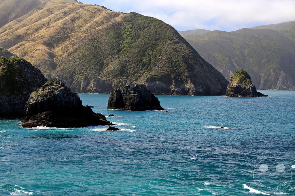New Zealand South Island - Interislander Cook Strait Ferry - Queen Charlotte Sound - West Head