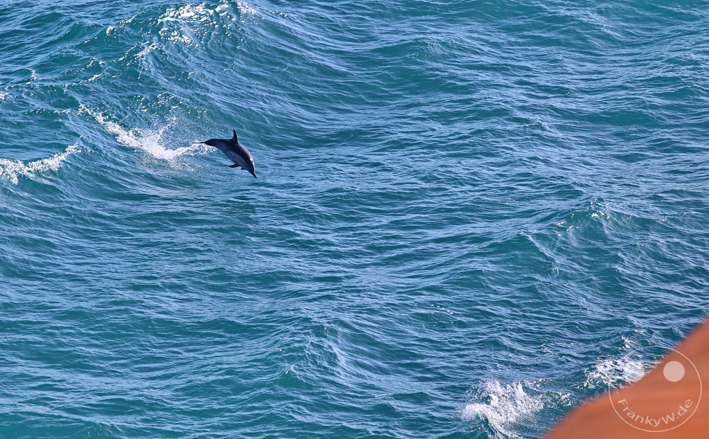 New Zealand North Island - Interislander Cook Strait Ferry - Cook Strait