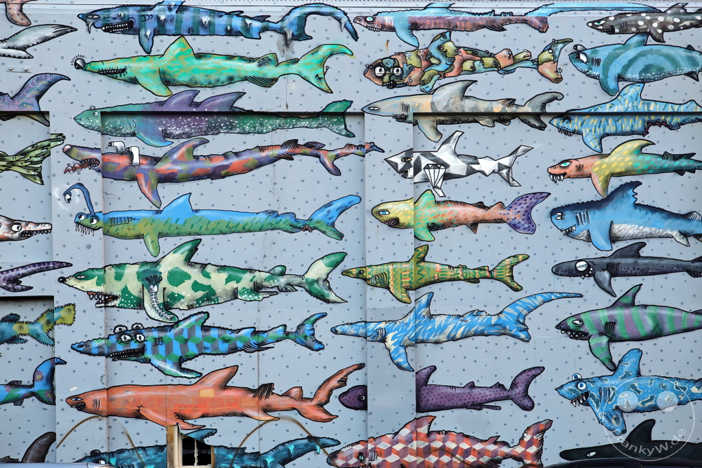 New Zealand North Island - Wellington - Street Art