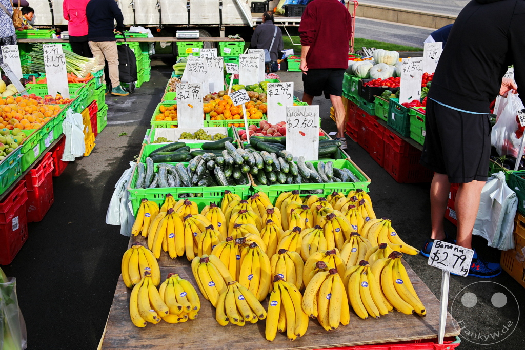 New Zealand North Island - Wellington - Wellington Waterfront Walk