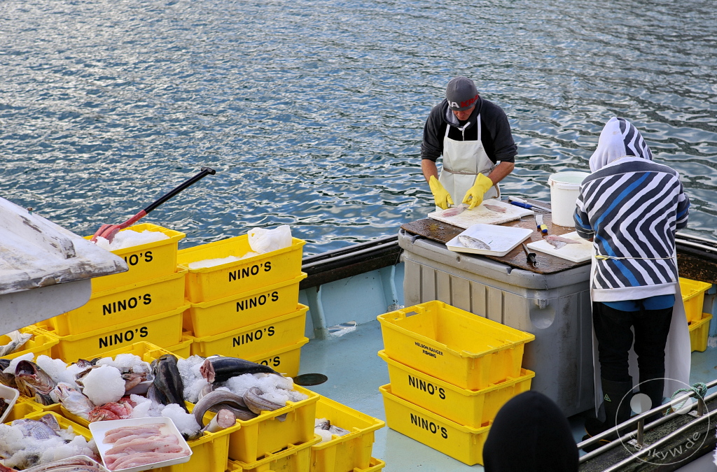 New Zealand North Island - Wellington - Wellington Waterfront Walk