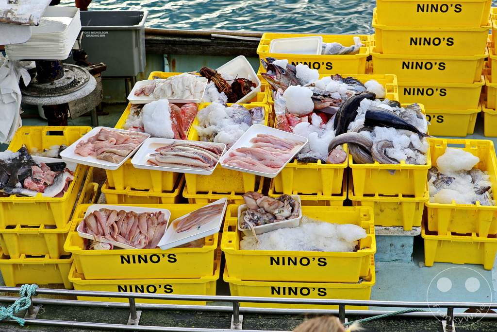 New Zealand North Island - Wellington - Wellington Waterfront Walk