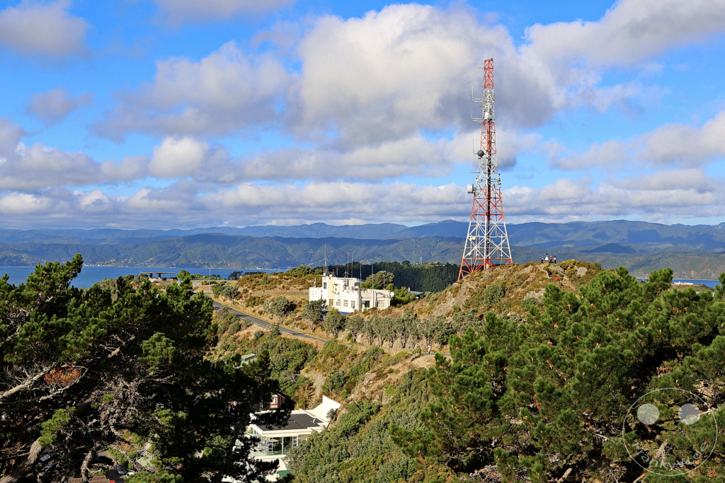 New Zealand North Island - Wellington - Mount Victoria Lookout