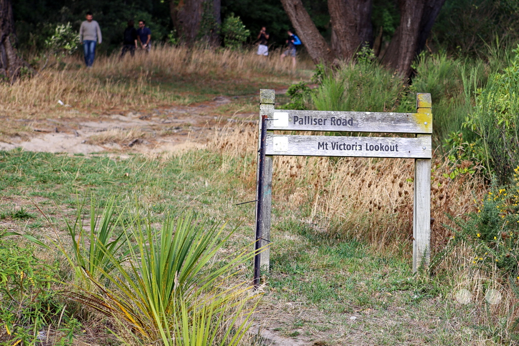 New Zealand North Island - Wellington - Mount Victoria Lookout