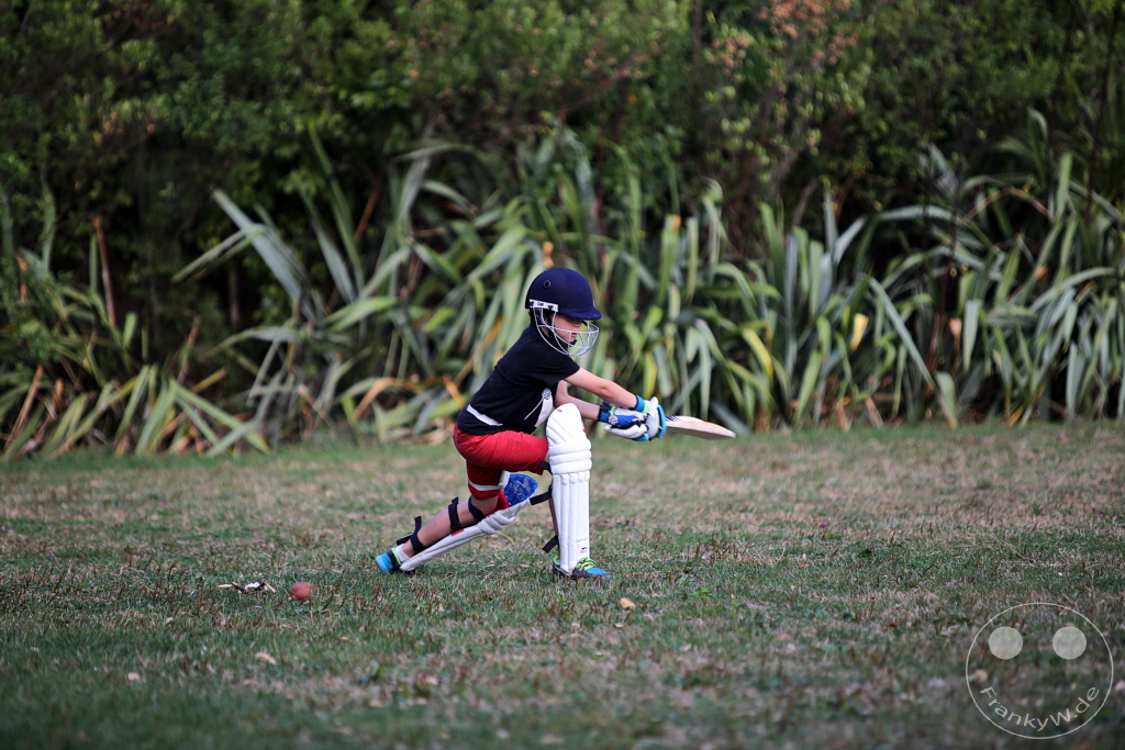 New Zealand North Island - Wellington - Mount Victoria Lookout