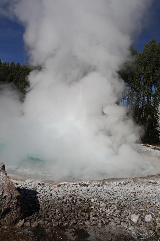 New Zealand North Island - Wairakei - Thermal Terraces-Pools