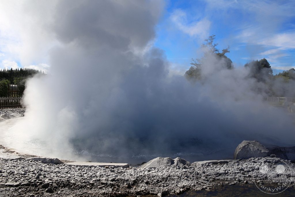 New Zealand North Island - Wairakei - Thermal Terraces-Pools