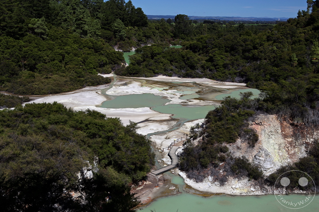 New Zealand North Island - Wai-O-Tapu - Thermal Wonderland