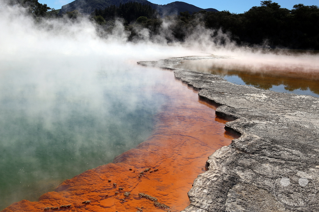 New Zealand North Island - Wai-O-Tapu - Thermal Wonderland - Champagne Pool
