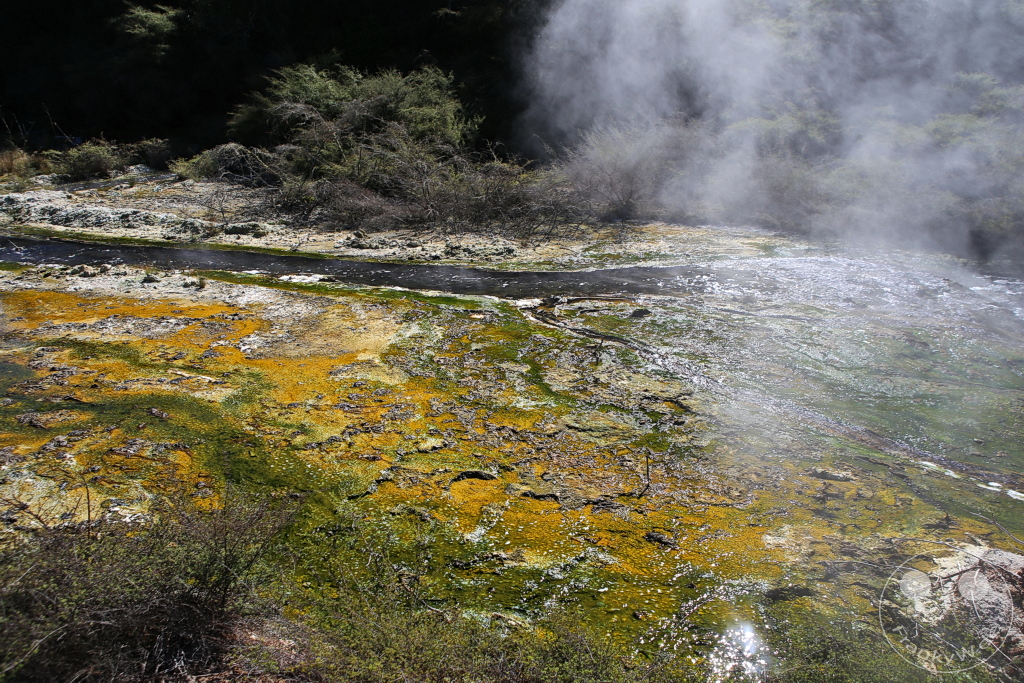 New Zealand North Island - Waimangu Volcanic Valley