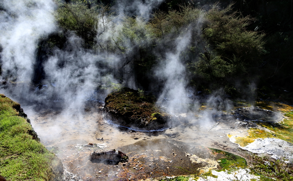 New Zealand North Island - Waimangu Volcanic Valley