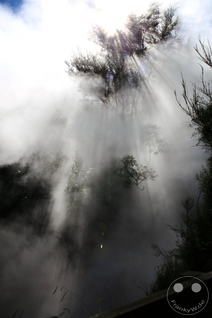 New Zealand North Island - Waimangu Volcanic Valley