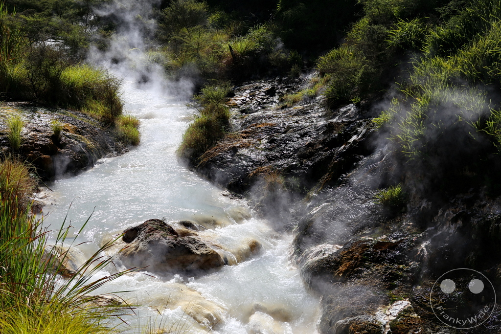 New Zealand North Island - Waimangu Volcanic Valley