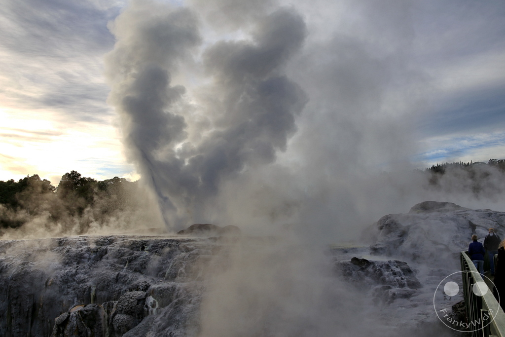 New Zealand North Island - Te Puia - Rotorua