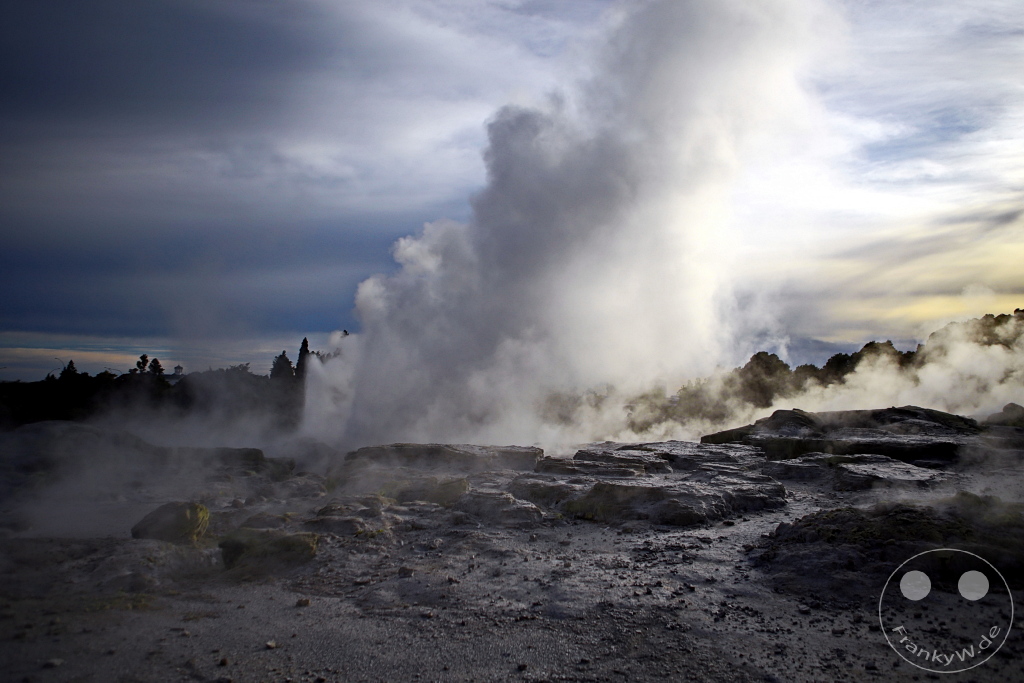 New Zealand North Island - Te Puia - Rotorua