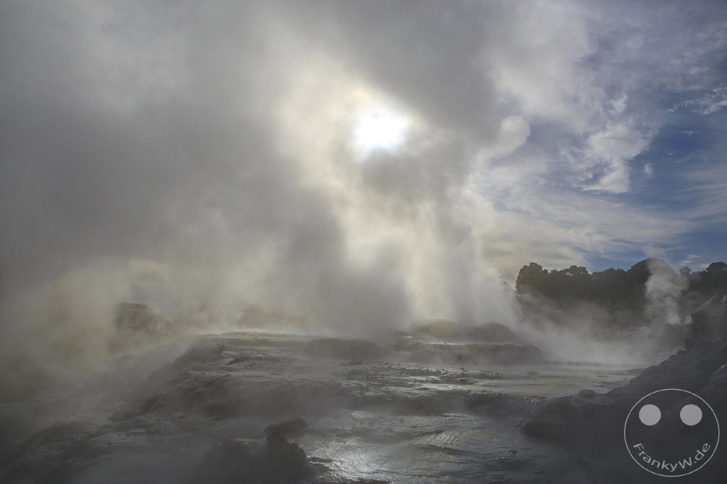 New Zealand North Island - Te Puia - Rotorua
