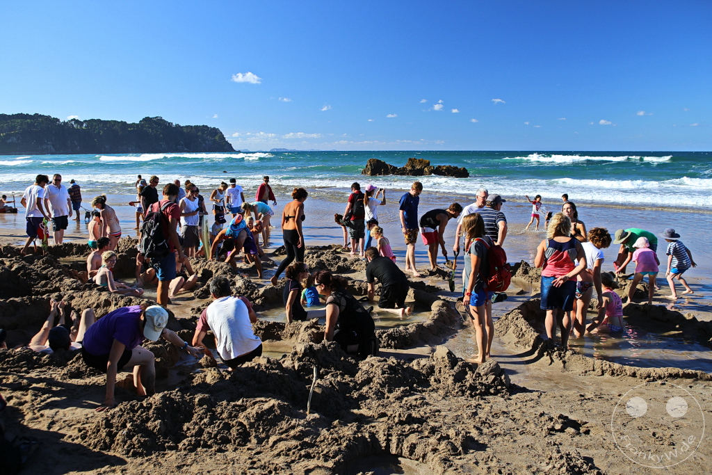 New Zealand North Island - Hot Water Beach
