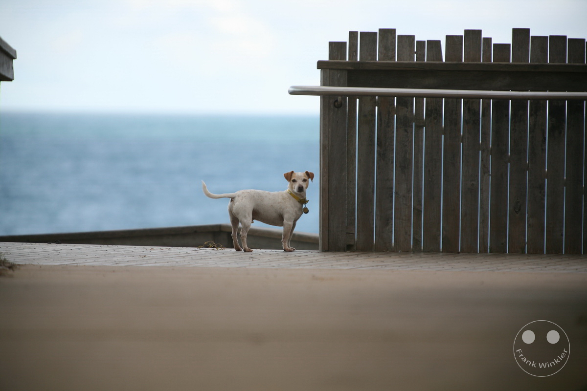 Australia - Warrnambool - Logans Beach Whale Watching Platform - Victoria