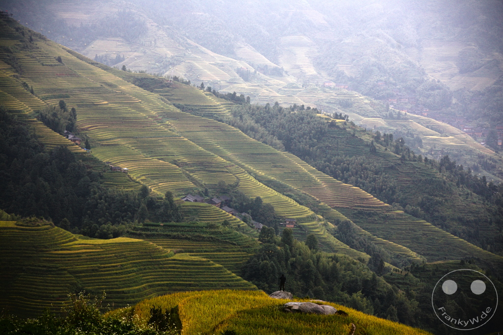 China - Longsheng Rice Terraces (Dragon's Backbone)