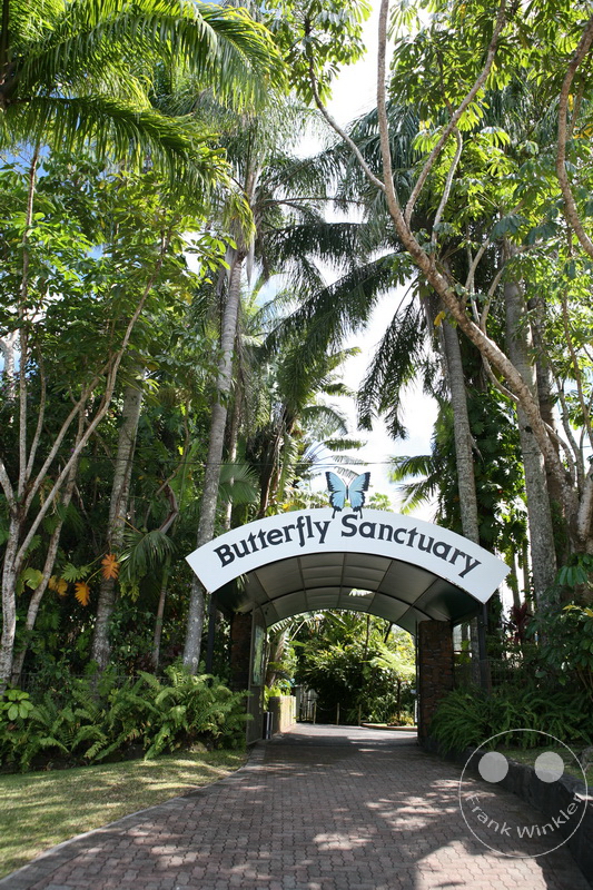 Australia - Queensland - Kuranda - Butterfly Sanctuary