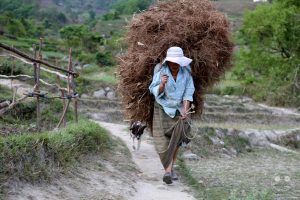 Bhutan - Punakha - way to Khamsum Yulley Namgyal Chorten