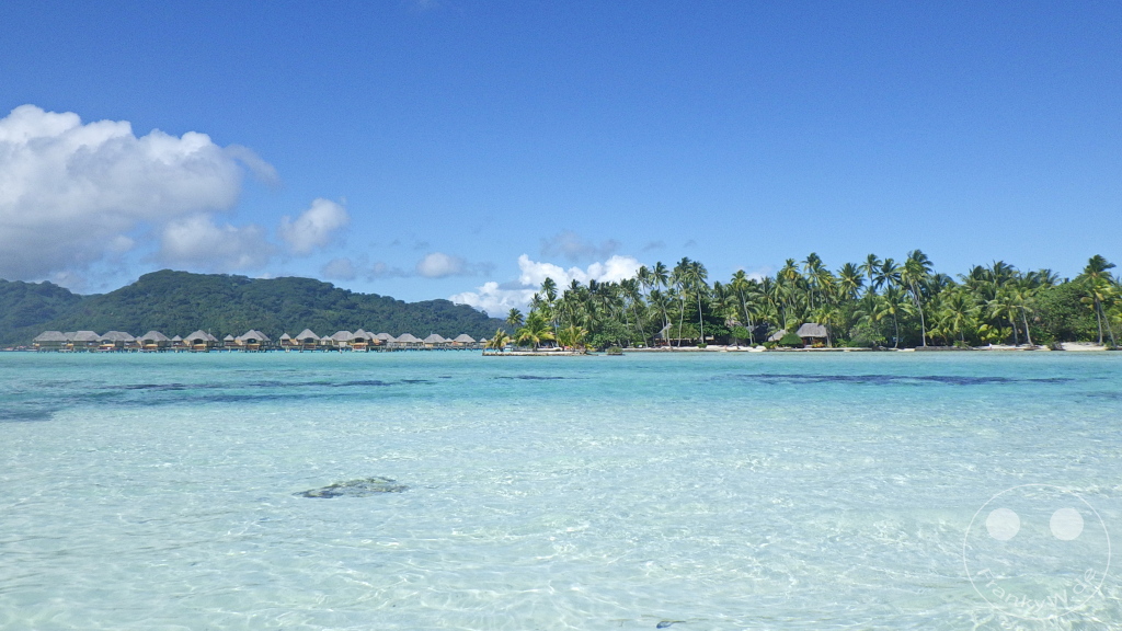 French Polynesia - Tahaa - Motu Tautau - Coral Garden