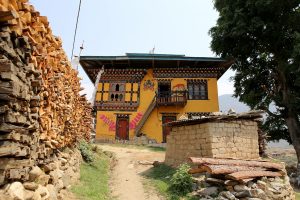 Bhutan - Teoprongchu - Phallus paintings