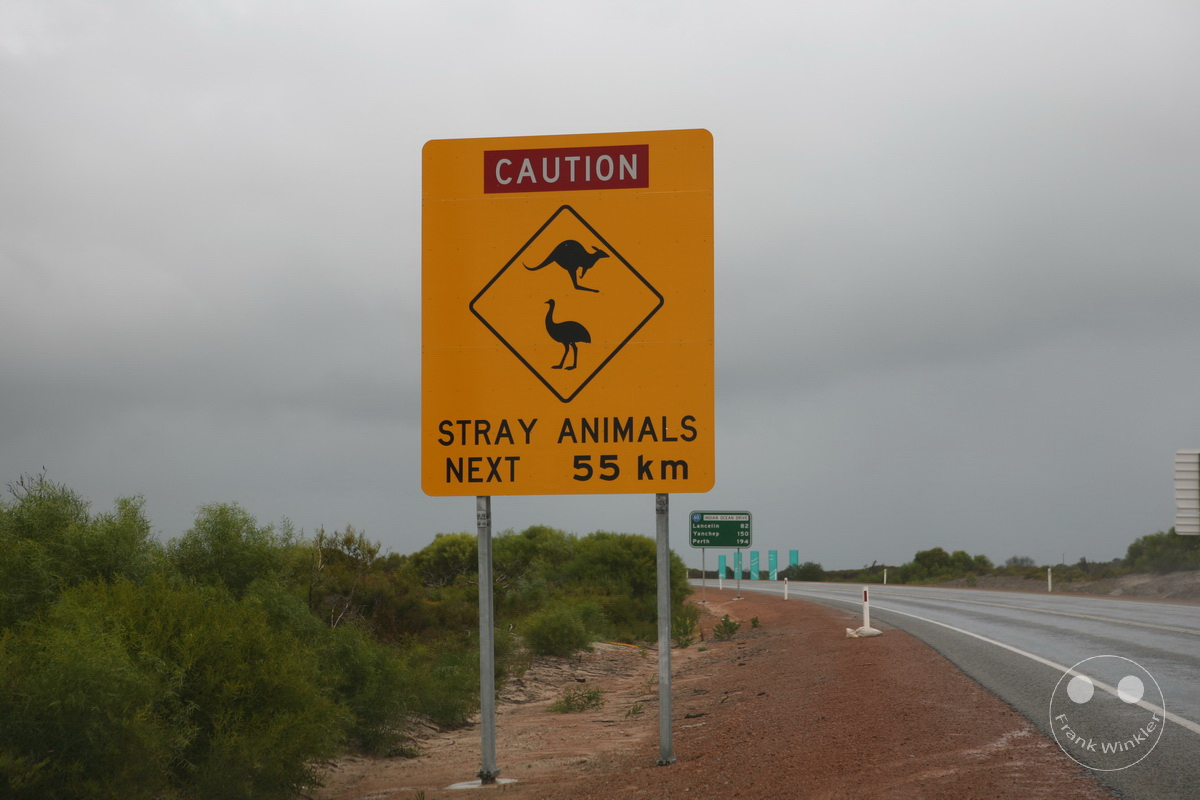 Australia - Western Australia - Nambung-Nationalpark - The Pinnacles Desert