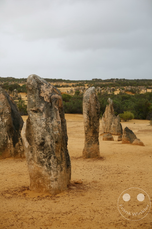 Australia - Western Australia - Nambung-Nationalpark - The Pinnacles Desert