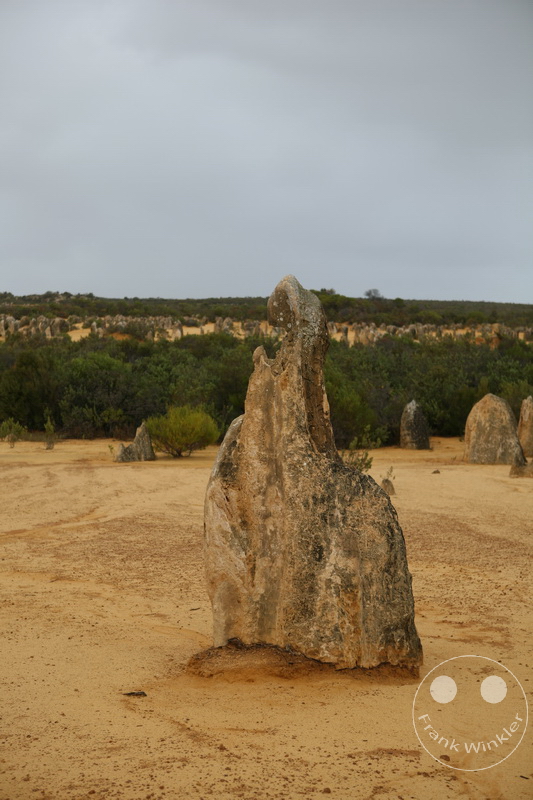 Australia - Western Australia - Nambung-Nationalpark - The Pinnacles Desert