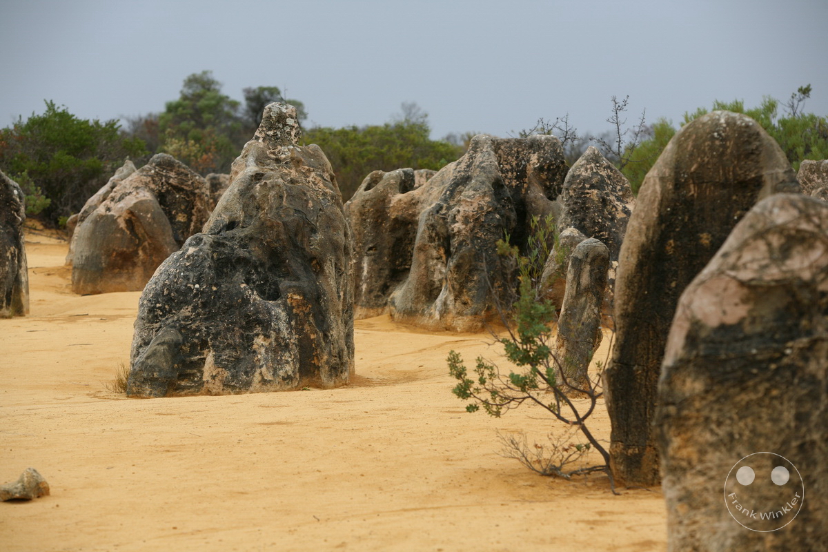 Australia - Western Australia - Nambung-Nationalpark - The Pinnacles Desert