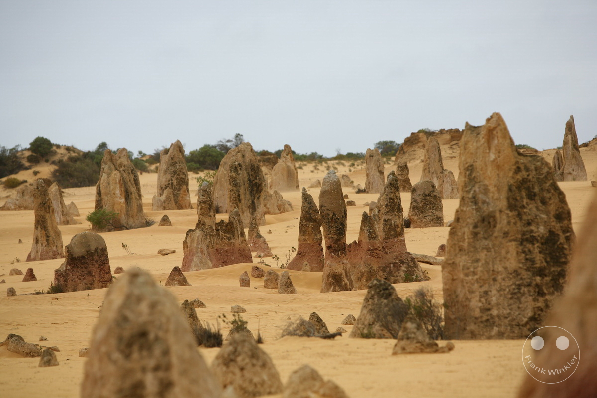 Australia - Western Australia - Nambung-Nationalpark - The Pinnacles Desert