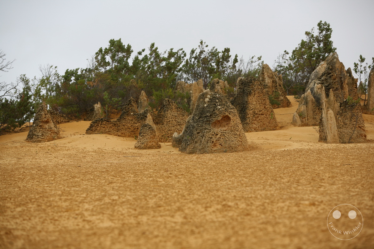 Australia - Western Australia - Nambung-Nationalpark - The Pinnacles Desert