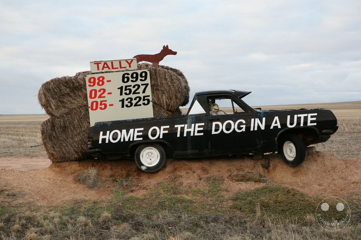 Australia -  Western Australia - Corrigin - Dog in a Ute