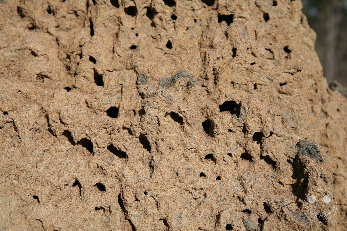 Australia - Nothern Territory - Kakadu Nationalpark - Termite mounds
