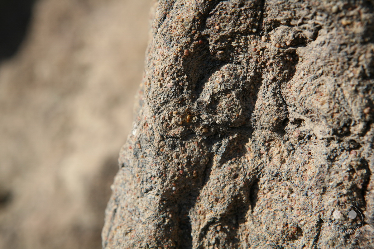 Australia - Nothern Territory - Kakadu Nationalpark - Termite mounds