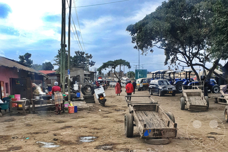 Tansania - Tarangire-Nationalpark