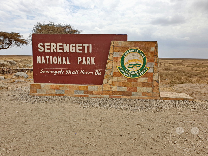 Tansania - Serengeti