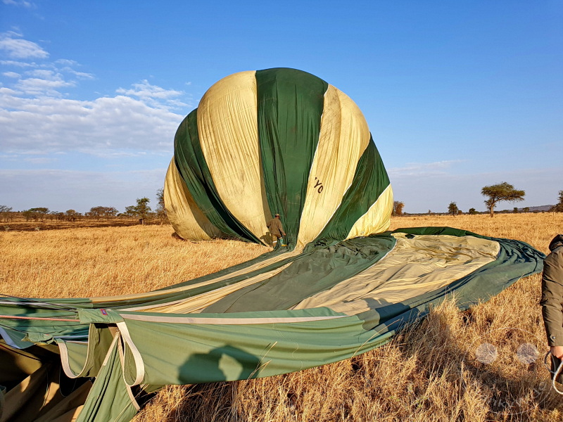 Tansania - Serengeti