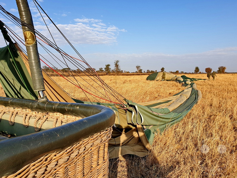 Tansania - Serengeti