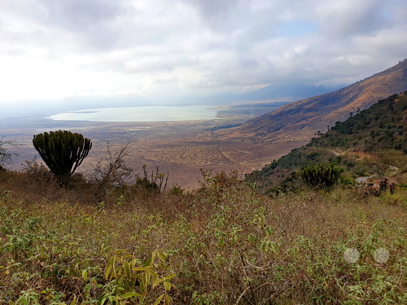 Tansania - Ngorongoro-Krater