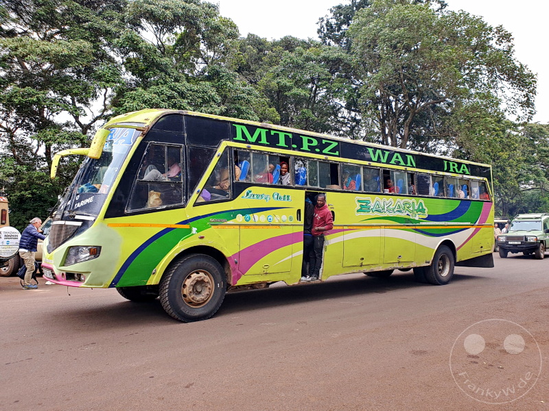 Tansania - Ngorongoro