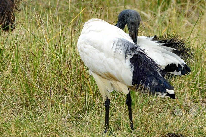 Tansania - Arusha-Nationalpark
