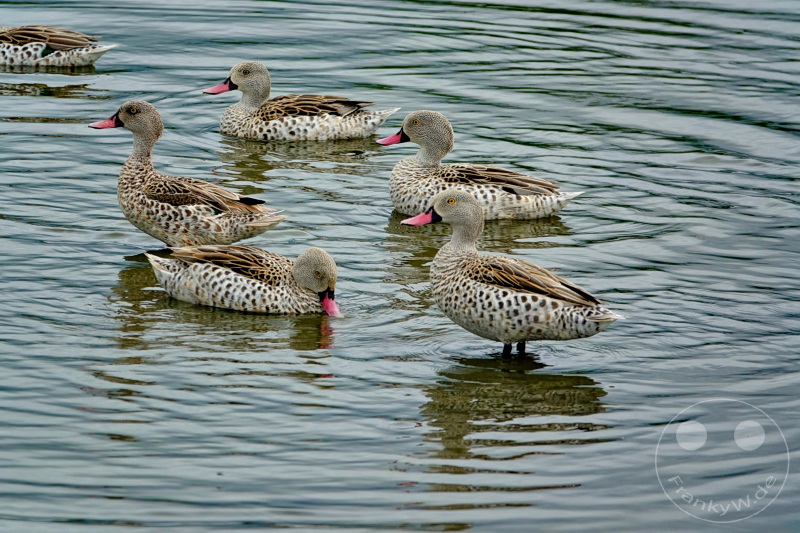 Tansania - Arusha-Nationalpark