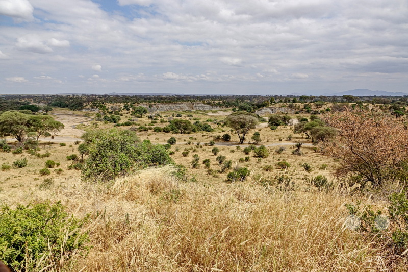Tansania - Tarangire-Nationalpark