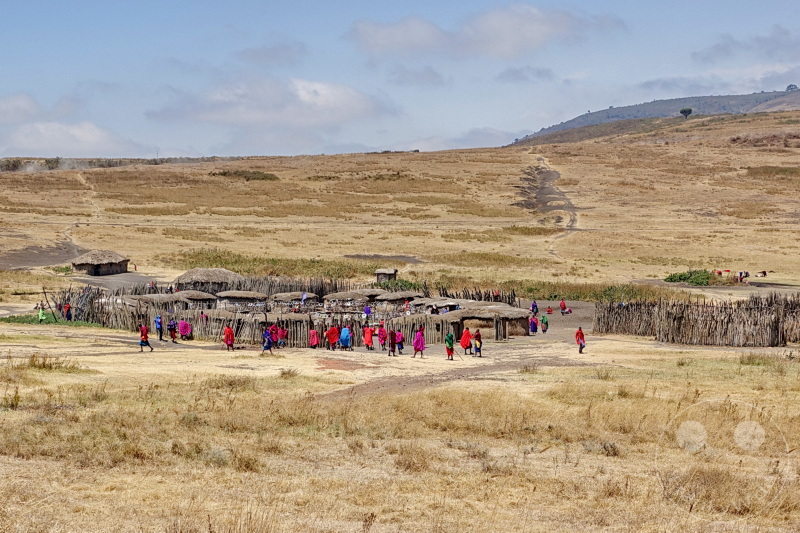 Tansania - Serengeti